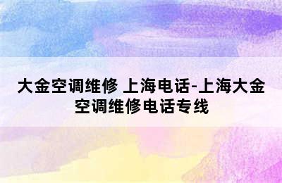 大金空调维修 上海电话-上海大金空调维修电话专线